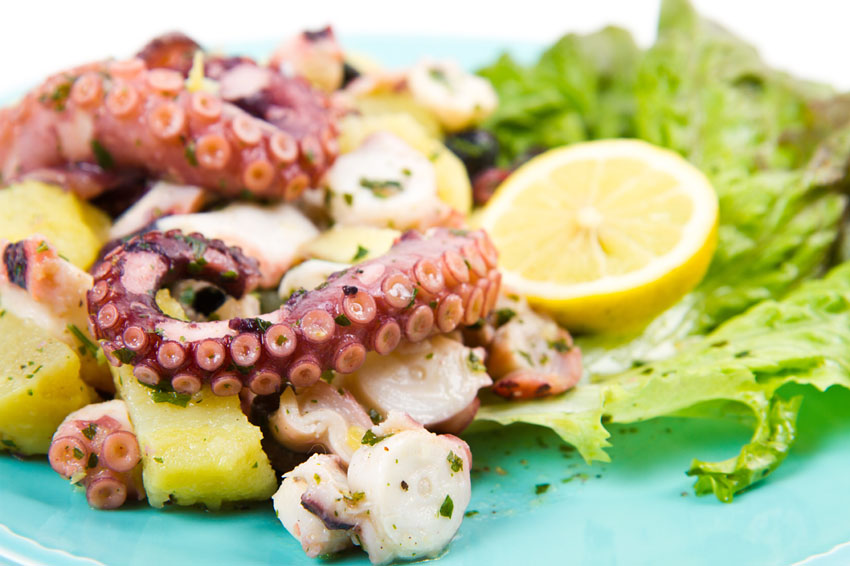 octopus salad 3