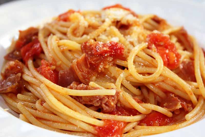 Традиционные блюда итальянской кухни – Аматричана